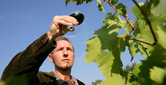 Сладкие и гадкие: худшие вина Украины