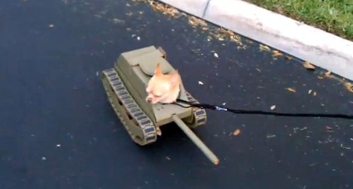 Танк будущего: железный пес НАТО