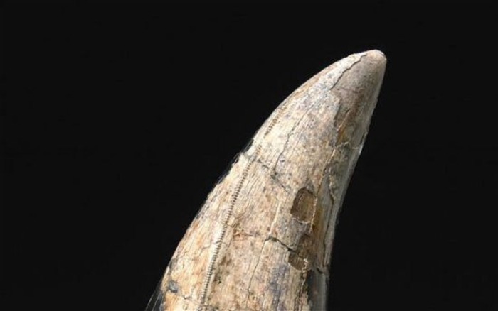 ТОП-10 самых дорогих аукционов 2011 года