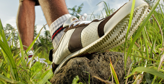 Подбор носков: как не прогадать с цветом