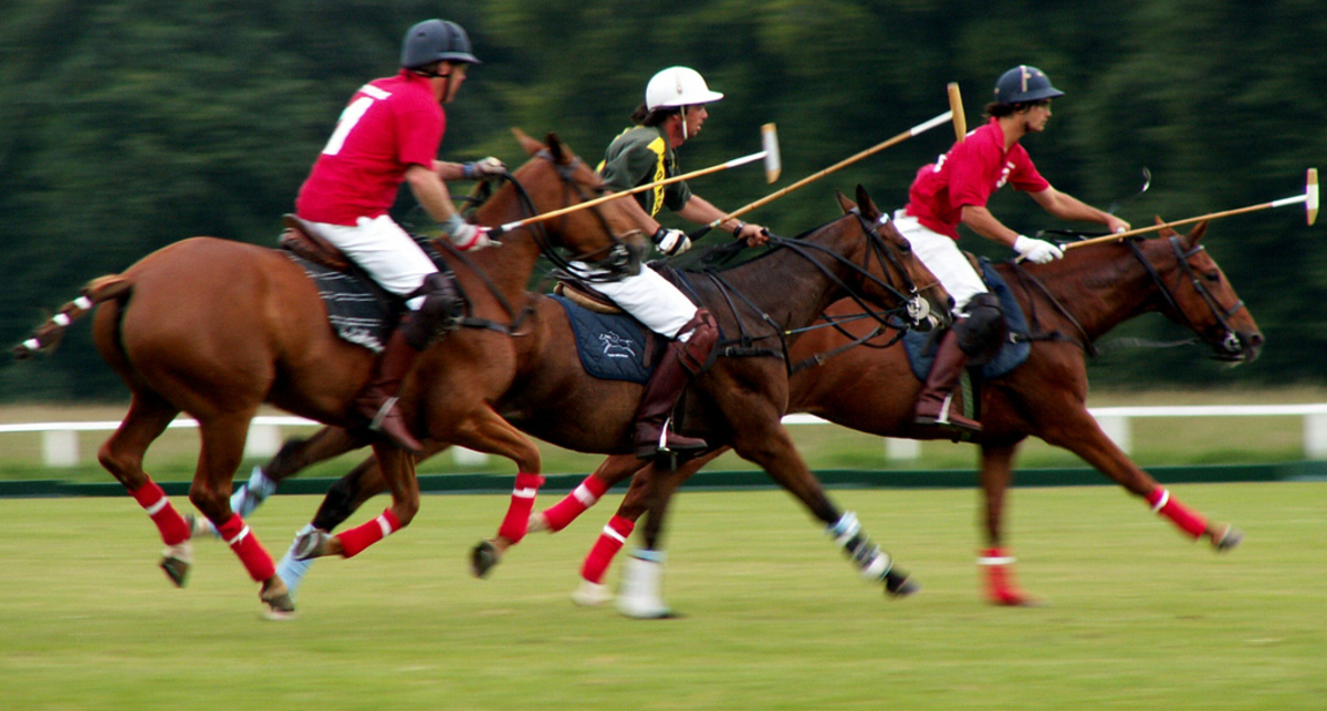 Конное поло: научись играть за 45 секунд