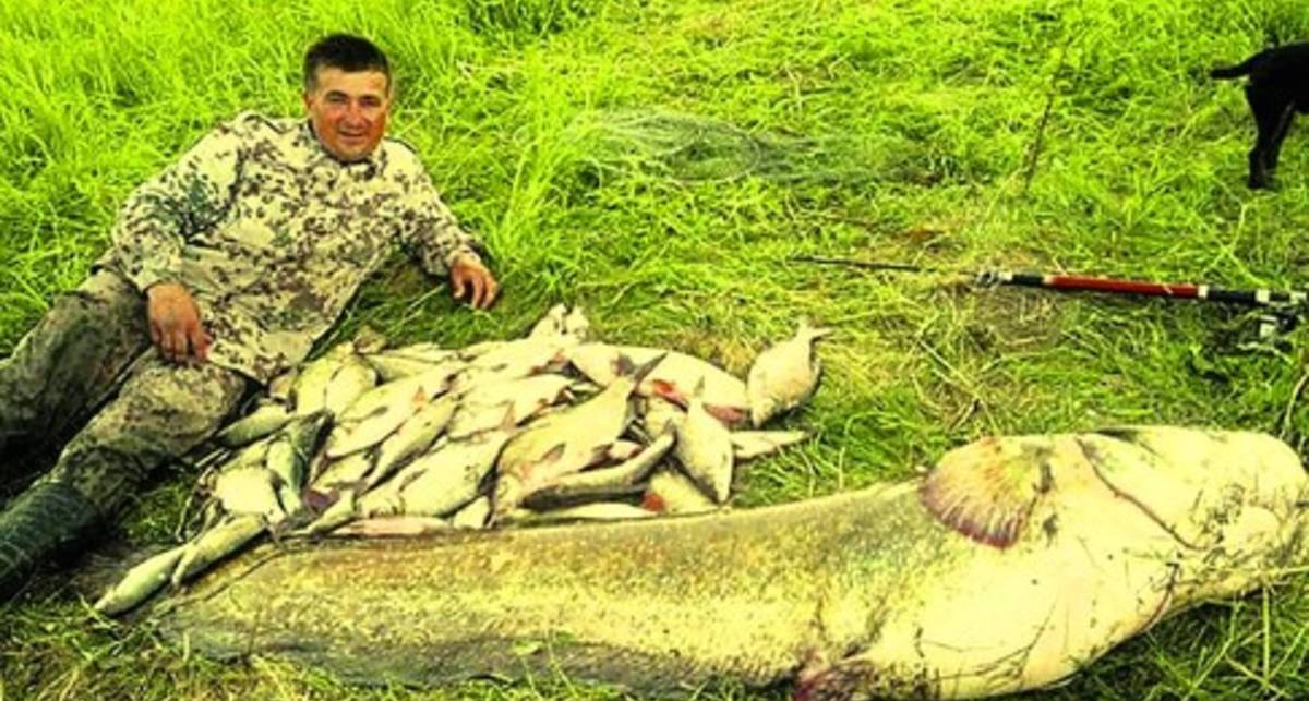 На живца: украинец поймал рыбу-великана