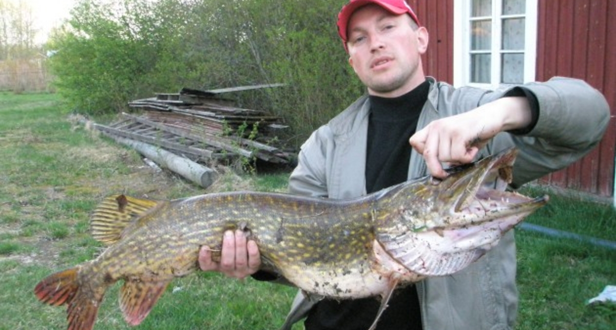 Улов дня на M PORT: рыбалка по-фински