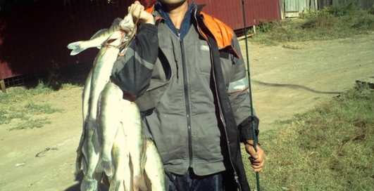 Улов дня на M PORT: как клюет на блесну