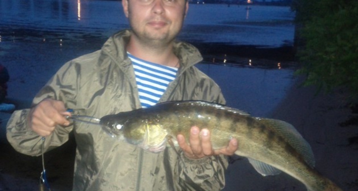 Улов дня на M PORT: вечерний судачок