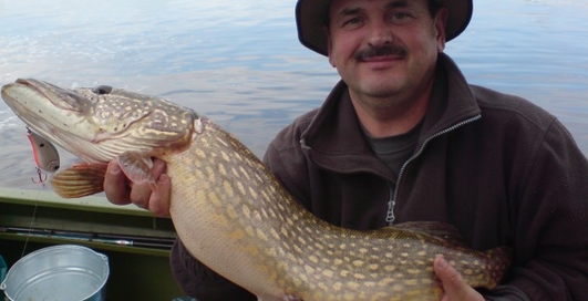 Улов дня на M PORT: вот это удача