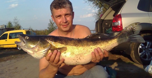 Улов дня на M PORT: здесь рыба есть