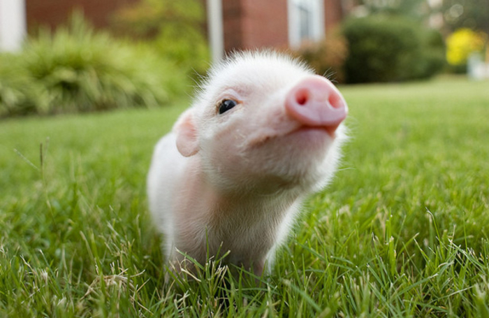 Розовые кофточки: чем нам нравится этот цвет