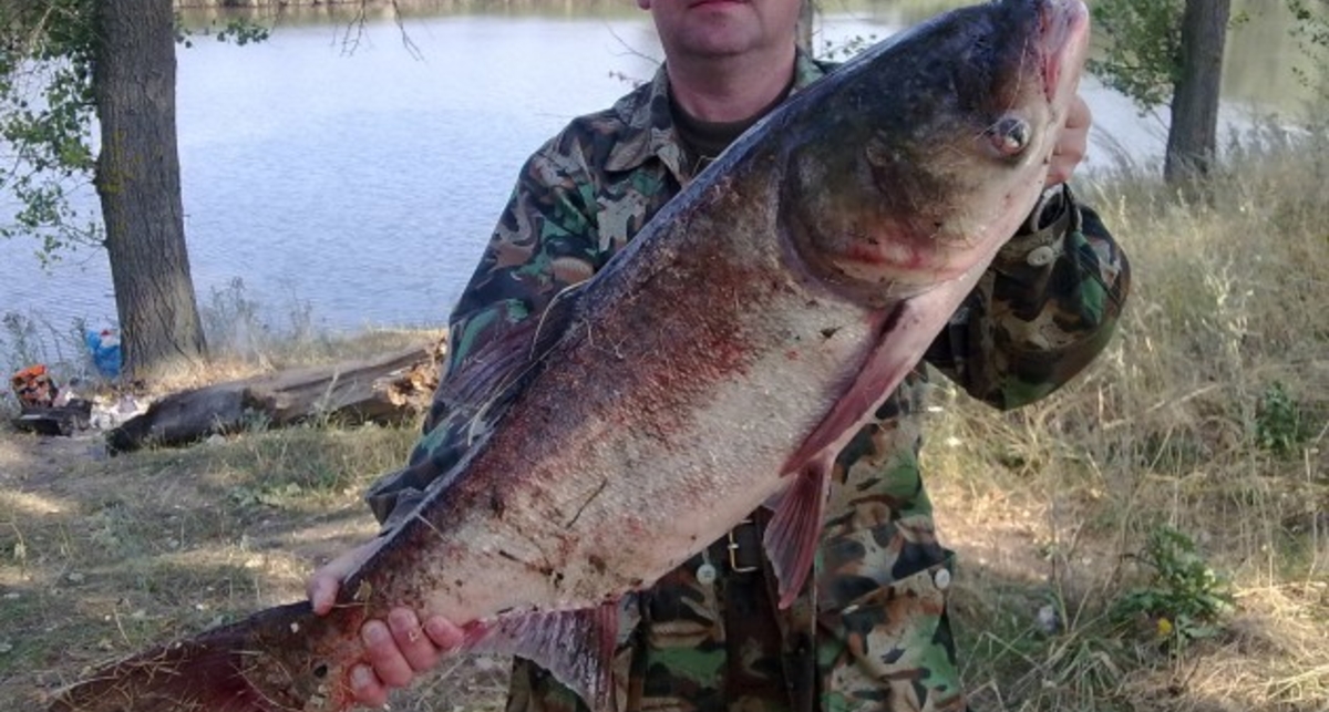 Улов дня на M PORT: трофей моряка Папая