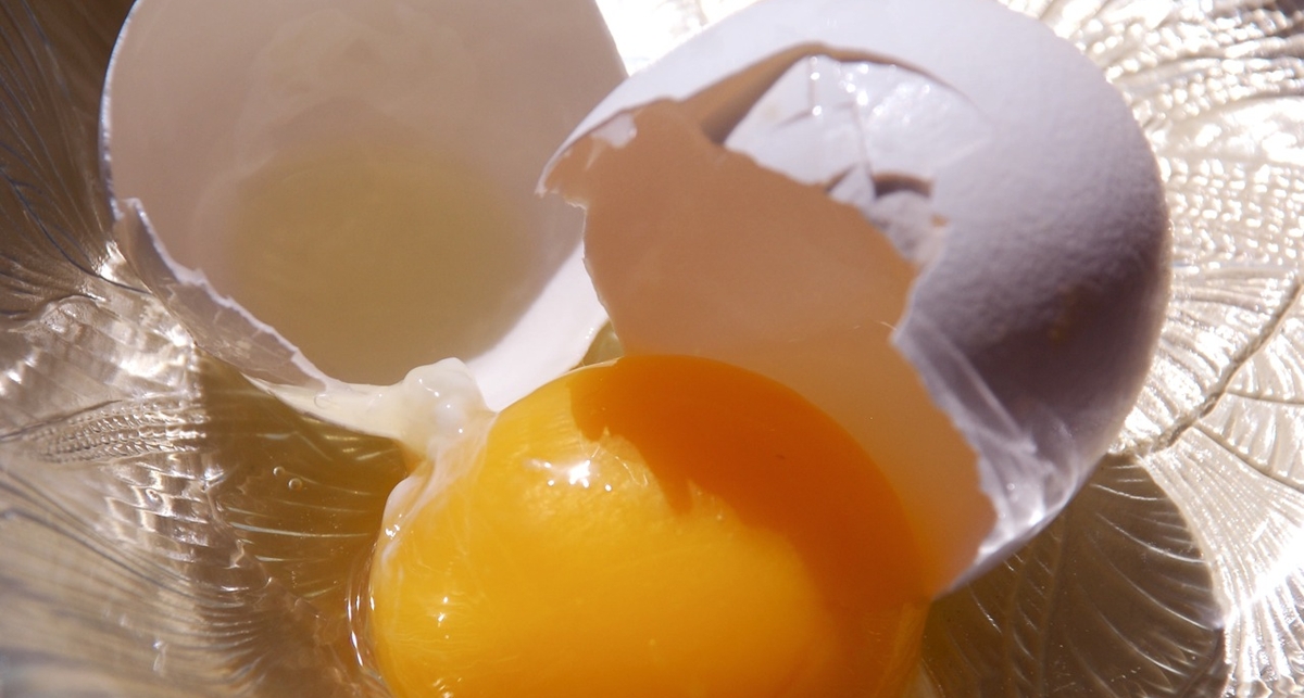 Есть яйца еще вреднее, чем курить – ученые