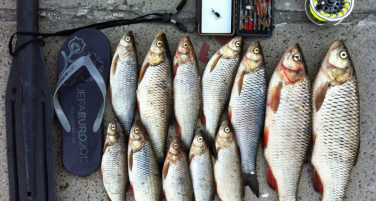 Улов дня на M PORT: что нужно на рыбалке