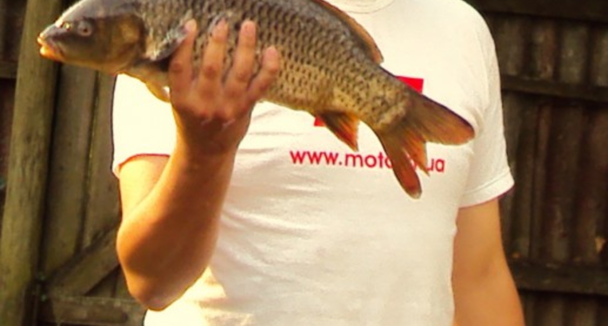 Улов дня на M PORT: золотая рыбка