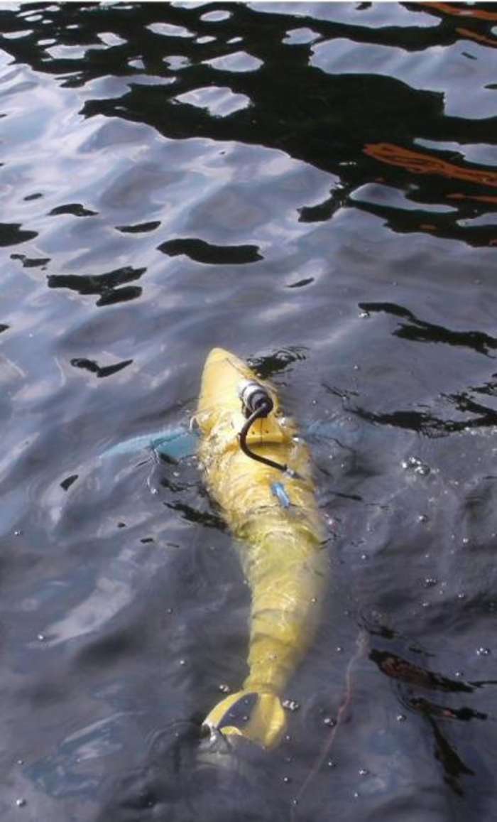 Боевой тунец: новый киборг из США