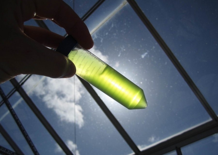 Секретное оружие США: это изменит мир