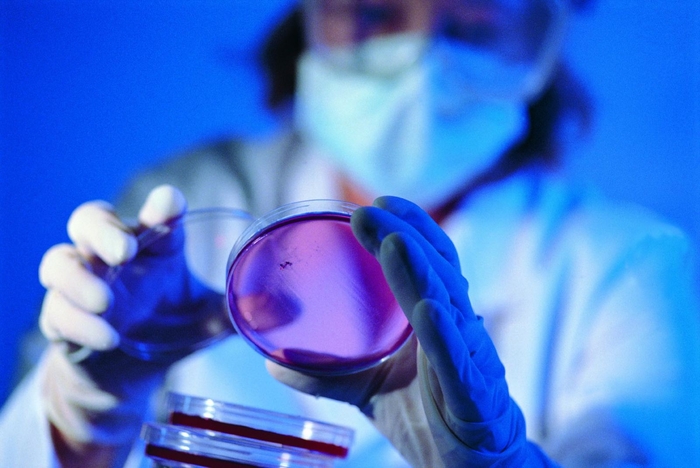 В США узнали, как уйти от презервативов В США узнали, как уйти от презервативов