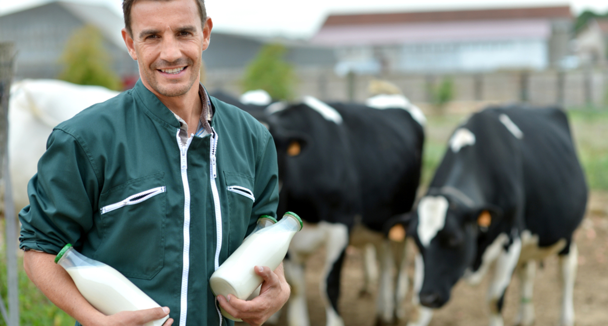 Кефир, йогурт и молоко не помогают худеть