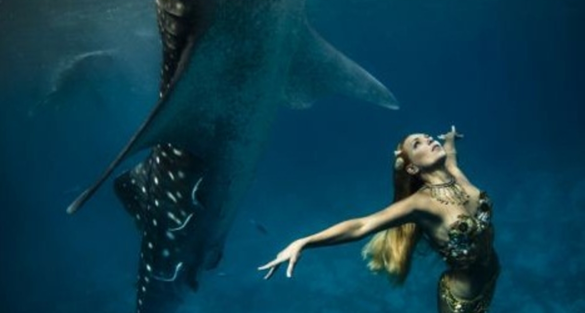 Модели устроили шоу в бассейне с акулами