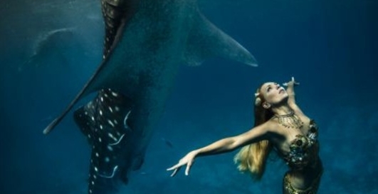 Модели устроили шоу в бассейне с акулами