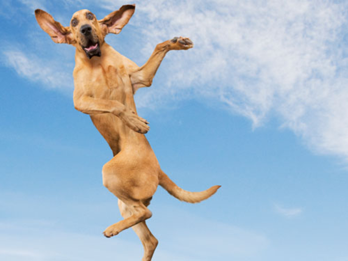 Будь ты счастлив: как стать позитивным парнем