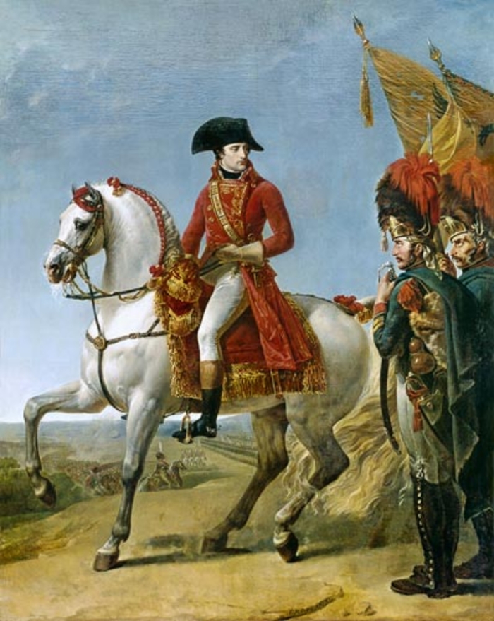 Император, а не коньяк: 10 интересных фактов о Наполеоне