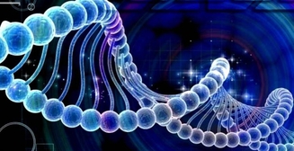 Богатство на генном уровне: ученые нашли зависимость между ДНК и состоятельностью