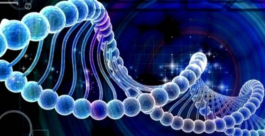 Богатство на генном уровне: ученые нашли зависимость между ДНК и состоятельностью