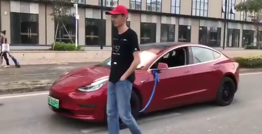 Мужчина выгулял электрокар Tesla на поводке
