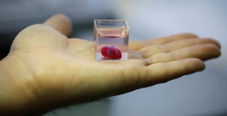 Медицина будущего: в Израиле живое сердце напечатали на 3D-принтере